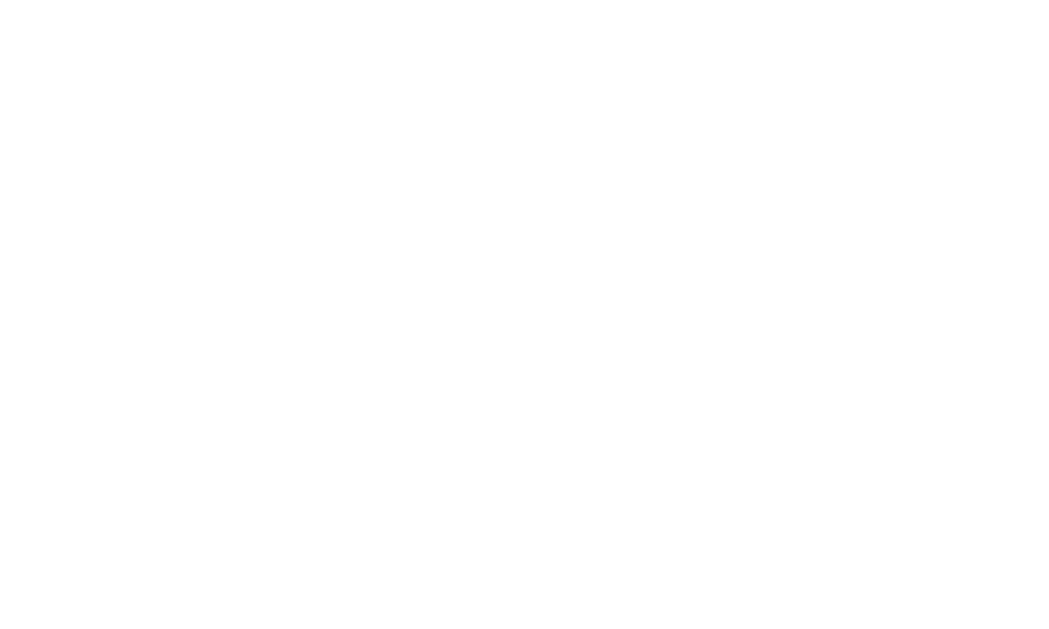 Isabella Pires